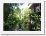 11100006 * The lush tropical gardens at the Chaweng Regent Resort. * 2240 x 1680 * (1.8MB)