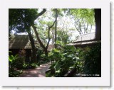 11110010 * The lush tropical gardens at the Chaweng Regent Resort. * 2240 x 1680 * (1.7MB)
