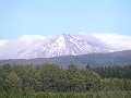 P3190046